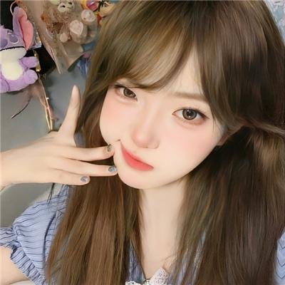 科搜研之女第24季